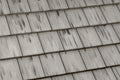 Eagle Bel Air Flintridge roof tile