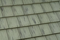 Eagle Bel Air Moss Creek roof tile