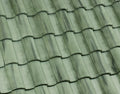 Eagle Capistrano Moss Creek roof tile