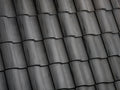 Eagle Capistrano Sierra Madre roof tile
