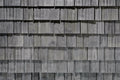 Brava Cedar Shake Lake Forest roof tile