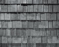 Brava Cedar Shake Light Arendale roof tile