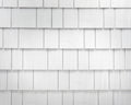 Brava Cedar Shake White roof tile