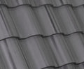 Crown Sanibel Manatee roof tile