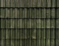 Brava Spanish Pine Green roof tile