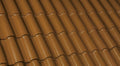 Coelho da Silva Tecno Honey roof tile