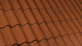 Coelho da Silva Tecno Natural Glazed roof tile