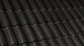 Coelho da Silva Tecno Titanium roof tile
