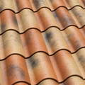 Verea Spanish S Capcana roof tile
