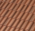 Westlake Estate Canyon Clay Black Antique roof tile